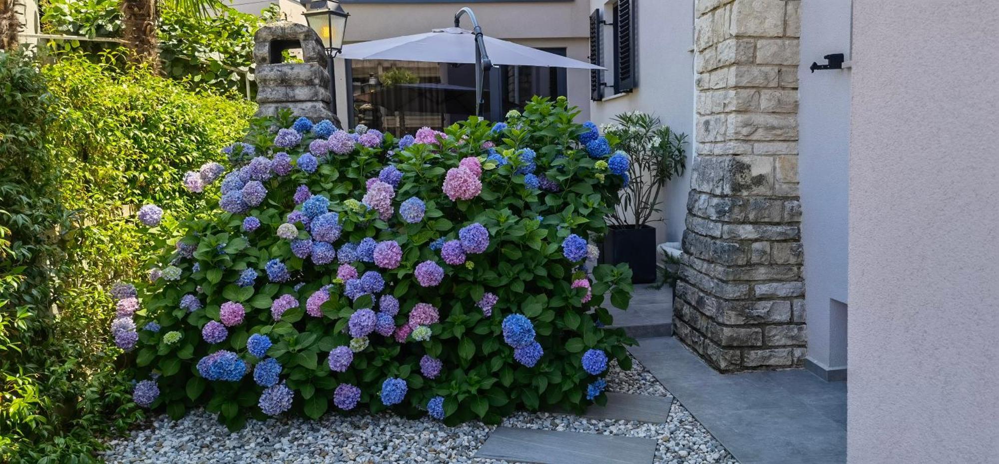 Stay In The Very Heart Of Porec - 50M To The Beach Экстерьер фото